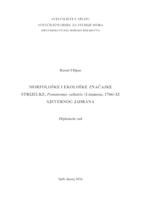 Morfološke i ekološke značajke strijelke, Pomatomus saltatrix (Linnaeus, 1766) iz sjevernog Jadrana