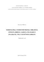 prikaz prve stranice dokumenta Morfološka i morfometrijska obilježja otolita srdele, Sardina pilchardus (Walbum, 1792) u istočnom Jadranu